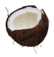 Coconut Png Image