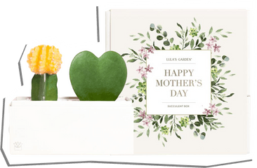 Day Gifts - Moms Mothers Day Gifts Png