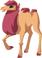 Camel Animal Jam Archives Png