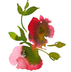 Download Hd Hand Painted Smudged - Watercolor Flower Bed Png Transparent