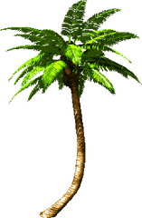 Palm Clipart Animation Transparent Free For - Palm Tree Transparent Gif Png