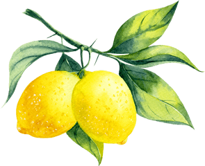 Lemon My Envy Blog - Watercolor Lemons Png