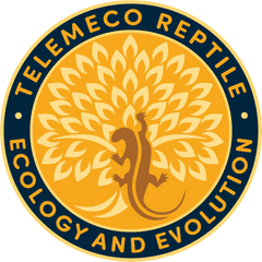 Tree Lab Telemeco Reptile Evolution U0026 Ecology Laboratory Png Logo