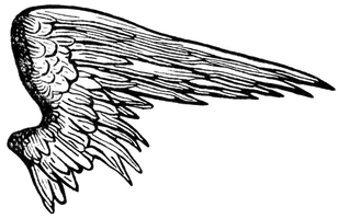 Half Wings Picture Free Download Image - Free PNG