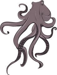 Octopus Png Download Image With - Octopus Vector Hd Png