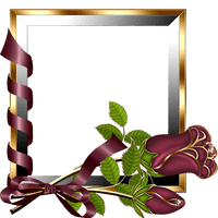 Picture Frame Online Frames Venusia Editing - Free PNG