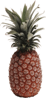 Pineapple Png Image Download