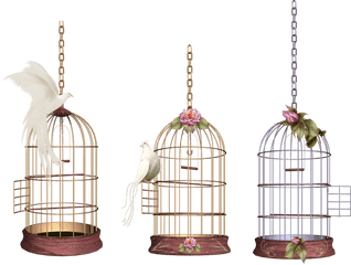 White Bird Cage Png Image - Bird Cage Png