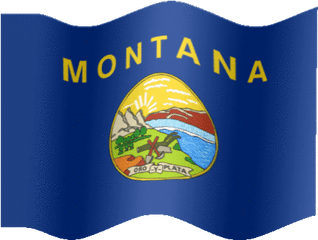 Tony Montana Stickers For Android Ios - Montana State Flag Png