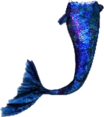 Transparent Mermaid Tails Clipart - Mermaid Tail Transparent Background Png