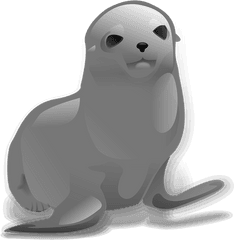 Download Seal Animal Png - Seal Clip Art