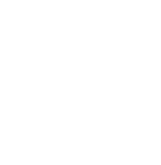 Macromedia Flash Player Logo Png - White Background