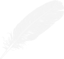 Feather Vector Free Clipart HD - Free PNG