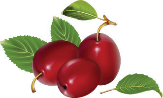 Plum Png Image