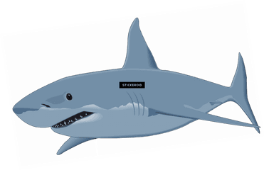 Shark Sharks Transparent Png Image - White Great Shark Clipart