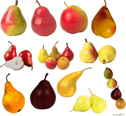 Pear Transparent Png File - Pear