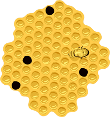 Honeycomb Clipart Free Download Transparent Png Creazilla - Honeycomb Clipart