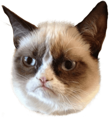 Grumpy Cat Png - Grumpy Cat