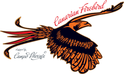 Fire Bird Png Image - Golden Eagle