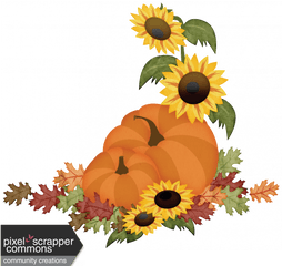 Pumpkins And Sunflowers Clipart Images G 1353959 - Png Pumpkin And Sunflower Clipart