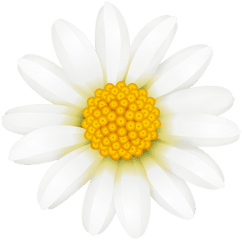 Download Daisy Flower Crown Transparent - Full Size Png