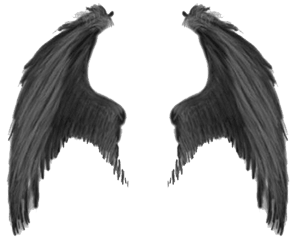 Download Wings Png Transparent Image - Free Transparent Png Demon Wings Png