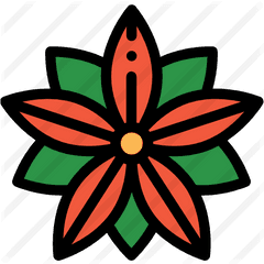 Poinsettia - Floral Png