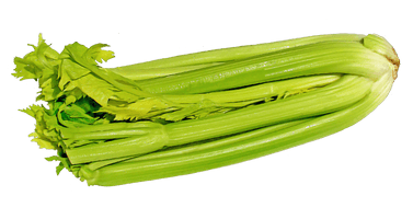 Celery Fresh Green Free HQ Image - Free PNG