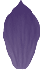 Download Png - Eggplant Png Image With No Background Beanie