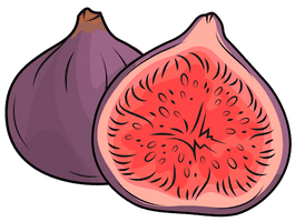 Purple Cut Fig Half Free HQ Image - Free PNG