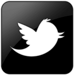 Black And White Twitter Bird Logo - Twitter Logo For Footer Png