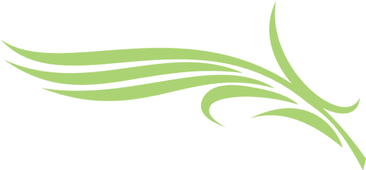 Diera Palm Logo Download - Palm Png