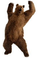 Brown Greezly Bear Png Image