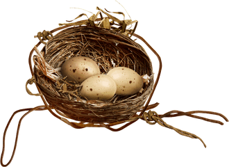 Egg Clipart Nest Transparent Free For Download - Nest Clipart Png