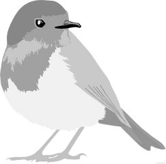 Huge Bird Animal Free Black White Clipart Images Png