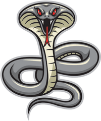 Snake Vipers Cobra - Cobra Snake Mascot Png