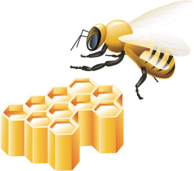 Abeilles Png Bumblebee Icon