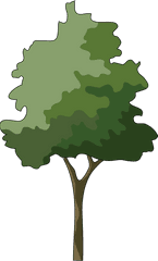 Free Tree Illustration Png Download - Tree Png Elevation Illustration