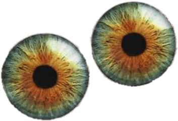Black Googly Eyes Transparent Png - Hazel Green Eye Ball