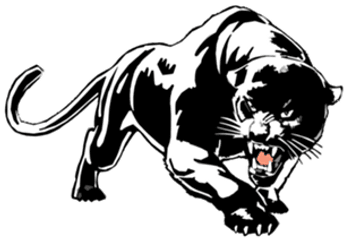 Panther Drawing Images - Drawing Black Panther Animal Pencil Png