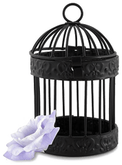 Birdcage Png Transparent Image Arts - Small Decorative Bird Cage Au