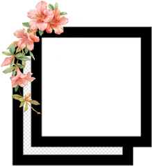Edit Editing Editingneeds Flower Square Overlay Png - Frame For Editing Video