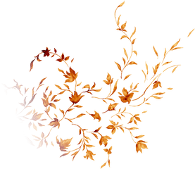 Fall Leaves Falling Png - Leaf Transparent Cartoon Jingfm Transparent Golden Leaves