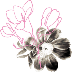 Toronto Flower Market - Artificial Flower Png