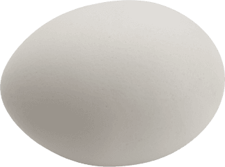 Hd Png Transparent Egg Cracked