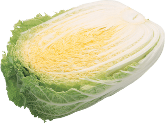 Salad Png Free Download 1 - Napa Cabbage