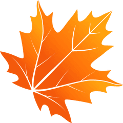 Maple Leaf Png With Transparent Background - Cute Fall Leaves Clip Art