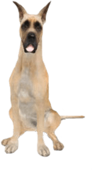 Download Free Png Great Dane - Transparent Great Dane Png