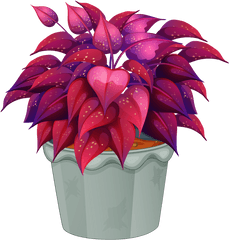 Free Flower Pots Png Download Clip Art - Flower Pot Png