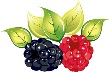 Raspberry Png Images Free Pictures Download - Transparent Berries Art